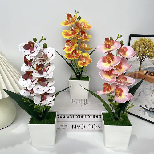 8头3D胶片蝴蝶兰仿真花盆栽