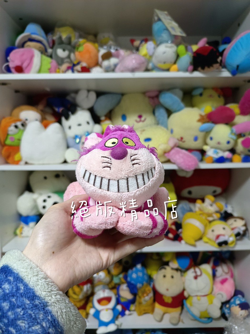 日本中古絕版disney迪士尼妙妙猫alice爱丽丝梦游仙境柴郡猫