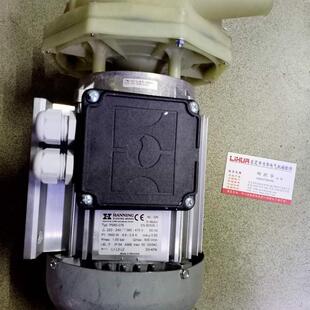 德国HANNING自动清洗机水泵PS60-076 PS60-144询价