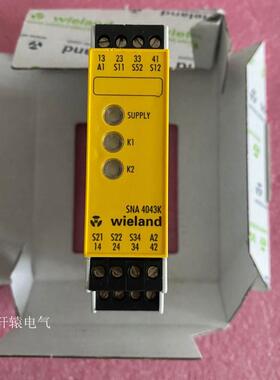 原装安全继电器 SNA 4043K-A R1.188.1810.0 AC/DC24V