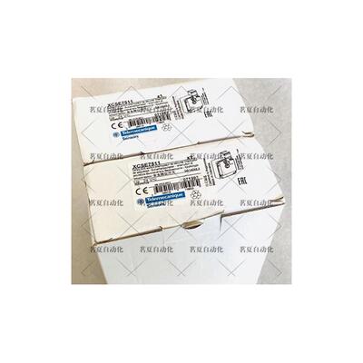 原装正品法国SCHNEIDER安全门锁XCSE7511