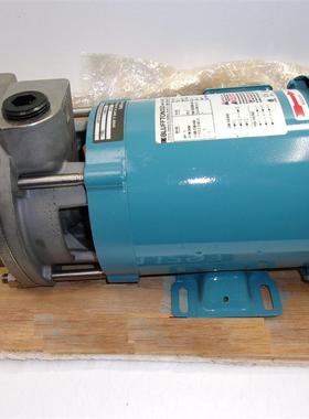 美国MTH水泵T51BSS T41GAB T31F SS询价