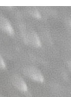 全新无包装 德国SICK 6041818 VL180-2P41131 电感式传感器 询价