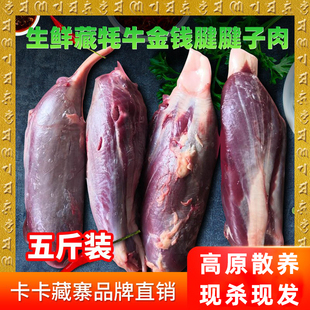 健身腱子肉 包邮 牛腱子 5斤装 三花腱 卡卡藏寨新鲜牦牛金钱腱