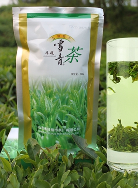 山东日照雪青茶袋装浓香原生态绿色无公害口粮茶日照绿茶2025新茶
