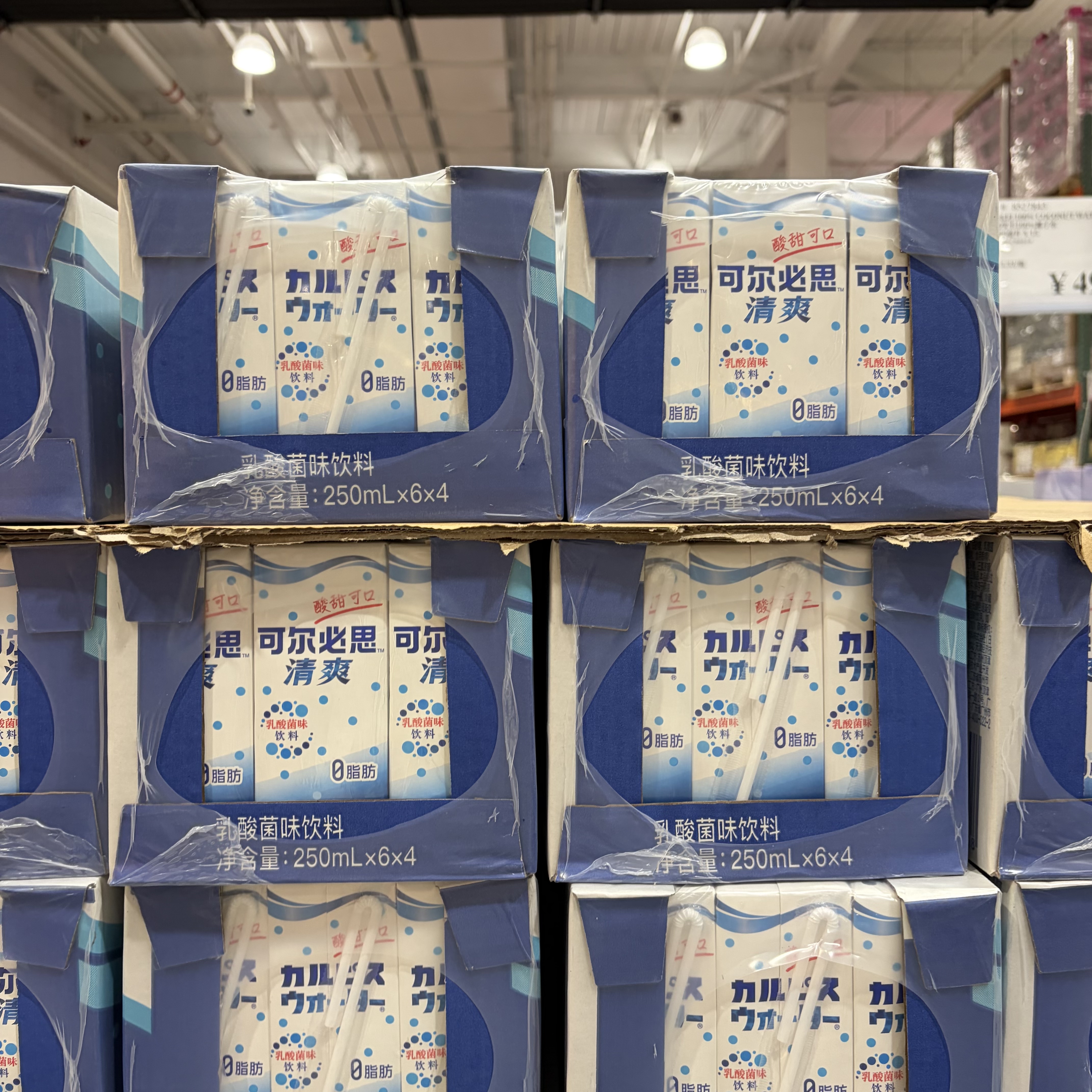 上海costco开市客可尔必思水乳风味饮品乳酸菌饮料250ml*24 国产
