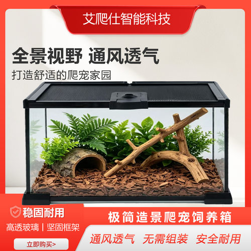 爬宠缸桌面鱼缸蜥蜴猪鼻蛇爬箱生态造景雨林缸角蛙蜘蛛爬宠饲养箱