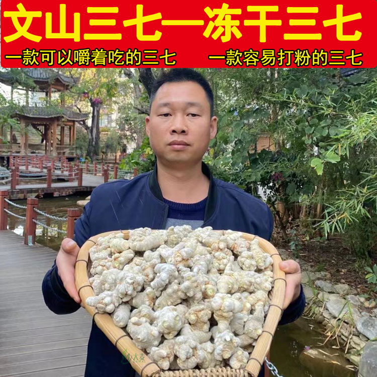 云南文山三七冻干三七文山三七粉