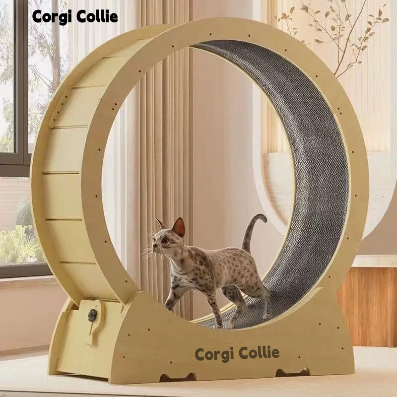 Corgi Collie猫咪跑步机静音猫跑轮实木运动健身宠物猫爬架猫滚轮