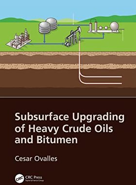 预售 按需印刷 Subsurface Upgrading of Heavy Crude Oils and Bitumen
