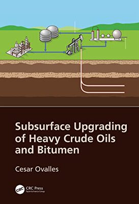 预售 按需印刷 Subsurface Upgrading of Heavy Crude Oils and Bitumen