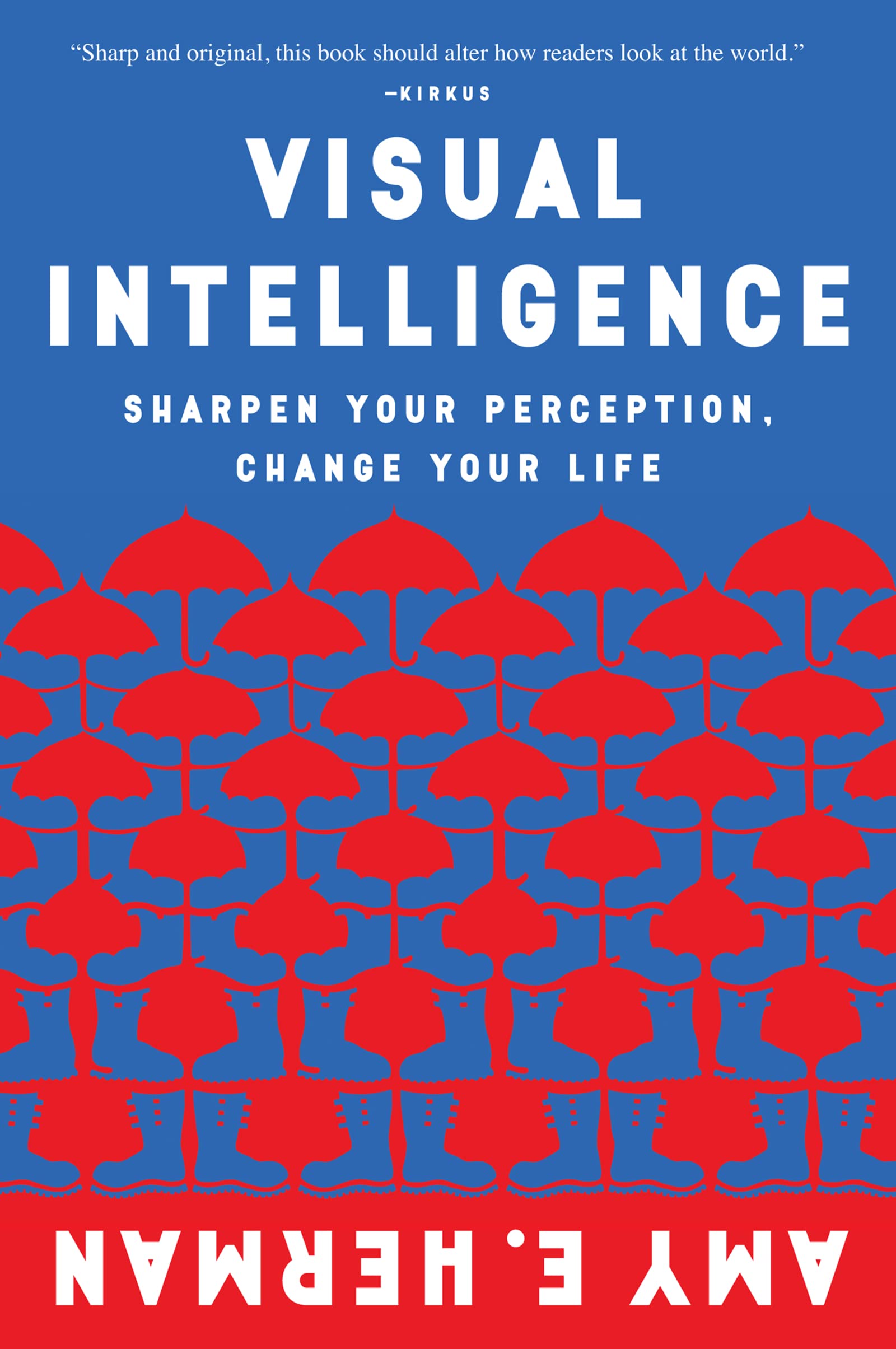 现货 洞察:精确观察和有效沟通的艺术英文原版VisualIntelligence