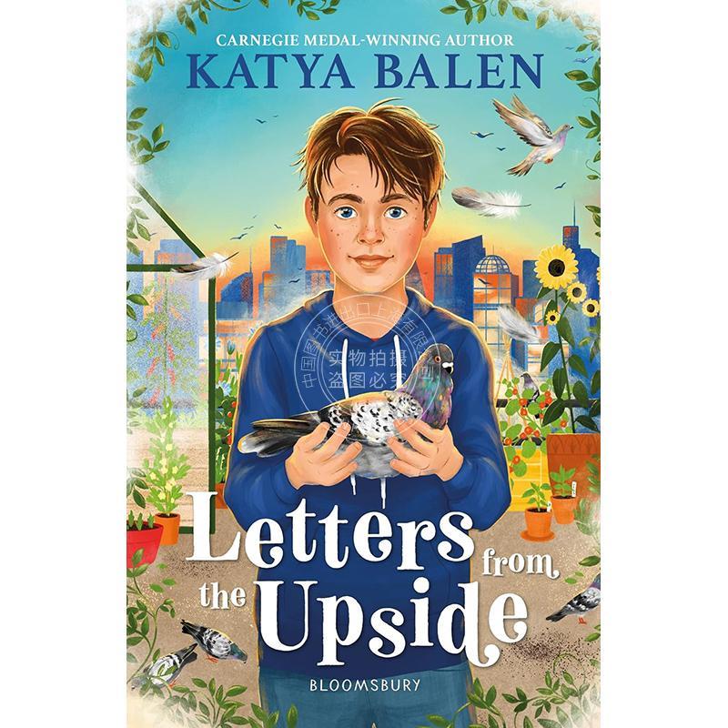 现货 来自上层世界的信 Katya Balen 十月十月作者 儿童文学小说 英文原版 Letters from the Upside 9+岁