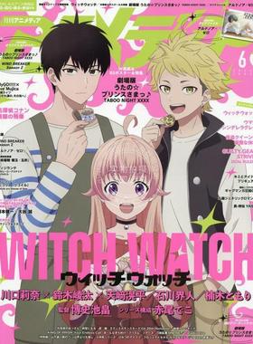 进口日文 Animedia アニメディア 2025年6月号 动漫杂志 付文件夹和海报 表纸 魔女守护者