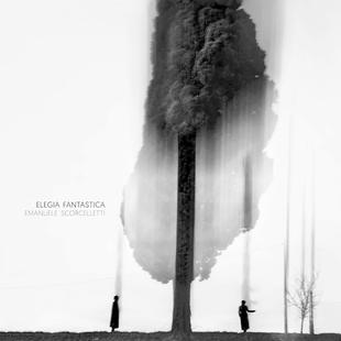 摄影艺术画集 Elegia Emanuele 英文原版 Fantastica SCORCELLETTI 幻想挽歌