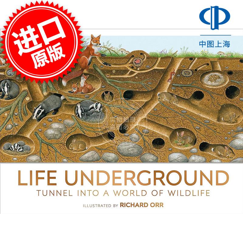 现货 地下生活:进入野生动物世界的隧道 儿童科普读物 DK出版社 英文原版 Life Underground: Tunnel into a World of Wildlife 9-
