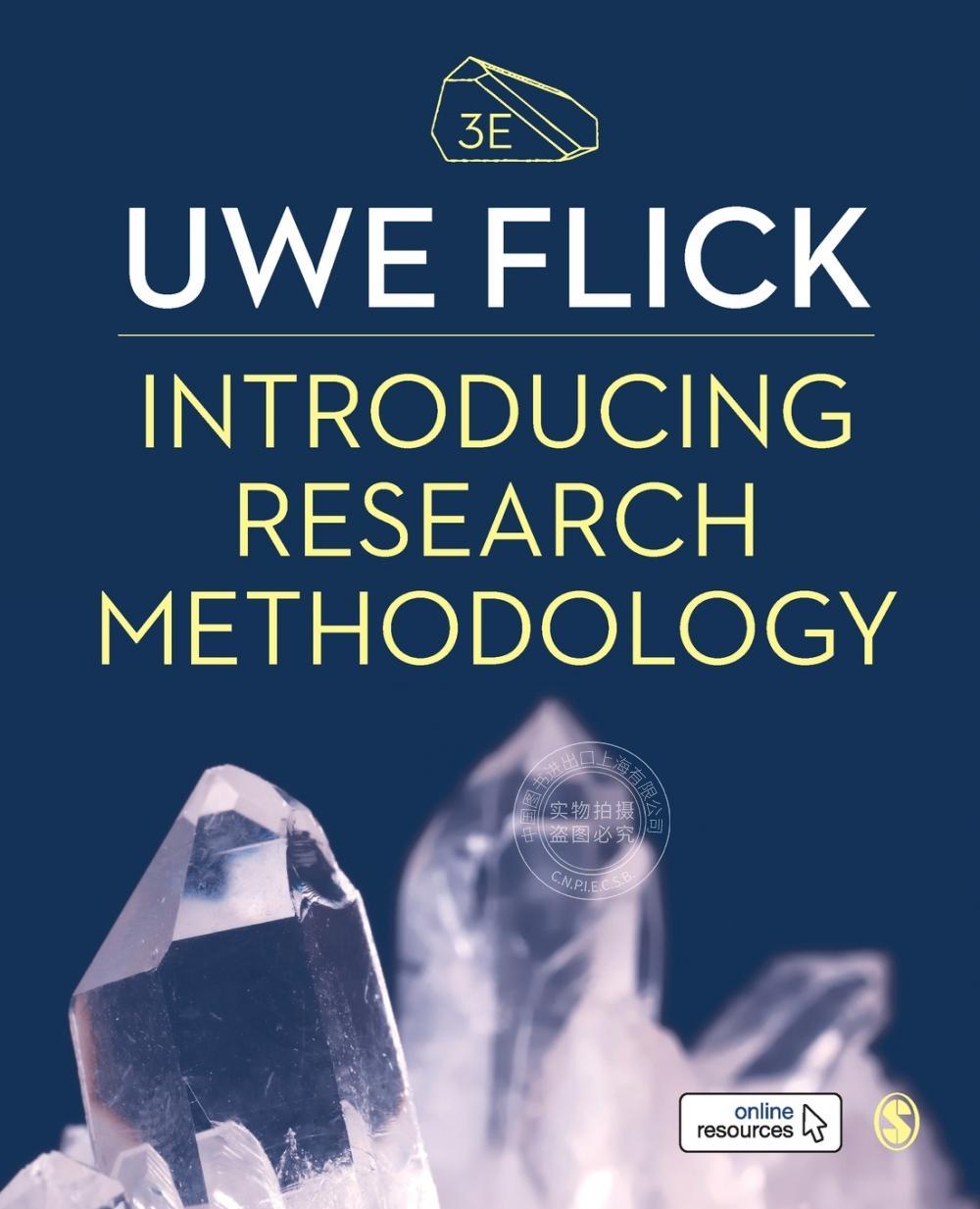 【预售 按需印刷】 Introducing Research Methodology