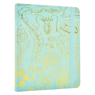 现货 海洋素描 笔记本 英文原版 SEALIFE SKETCHES JOURNAL 文创周边 Peter Pauper Press 无酸纸