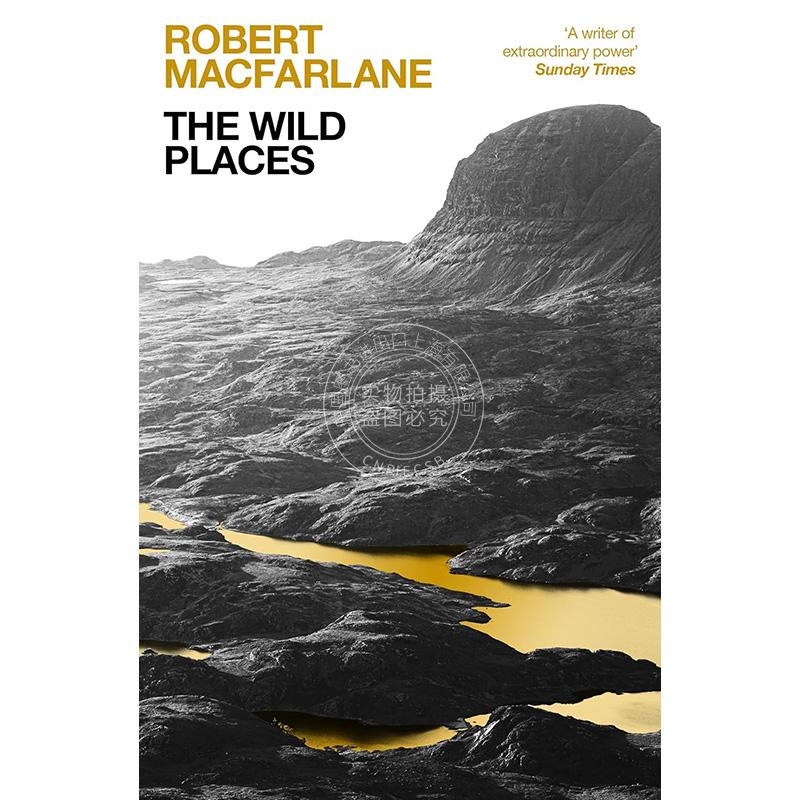 现货 荒野之境 罗伯特·麦克法伦 Robert Macfarlane 英文原版 Mountains Of The Mind