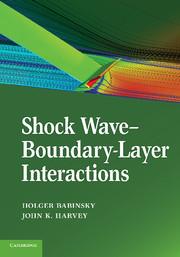 【预售 按需印刷】 Shock Wave Boundary Layer Interactions