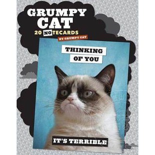 Cat Grumpy Notecards Envelopes 现货 英文原版