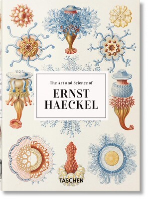 Taschen40周年纪念版 恩斯特·海克尔 自然生物插画绘画 自然博物学家 英文原版 The Art and Science of Ernst Haeckel