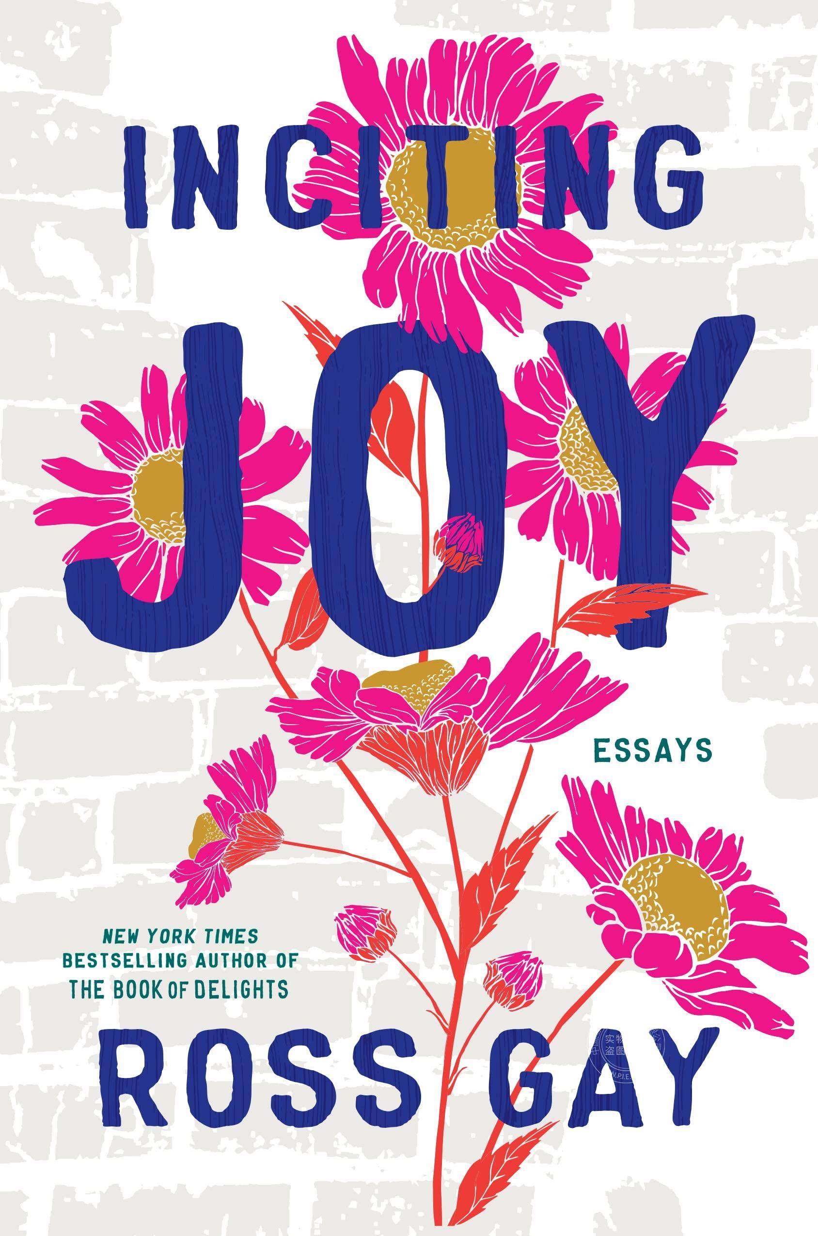激发快乐  ross gay 随笔集 英文原版 inciting joy: essays