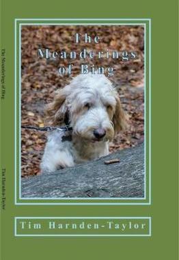 预售 按需印刷 The Meanderings of Bing