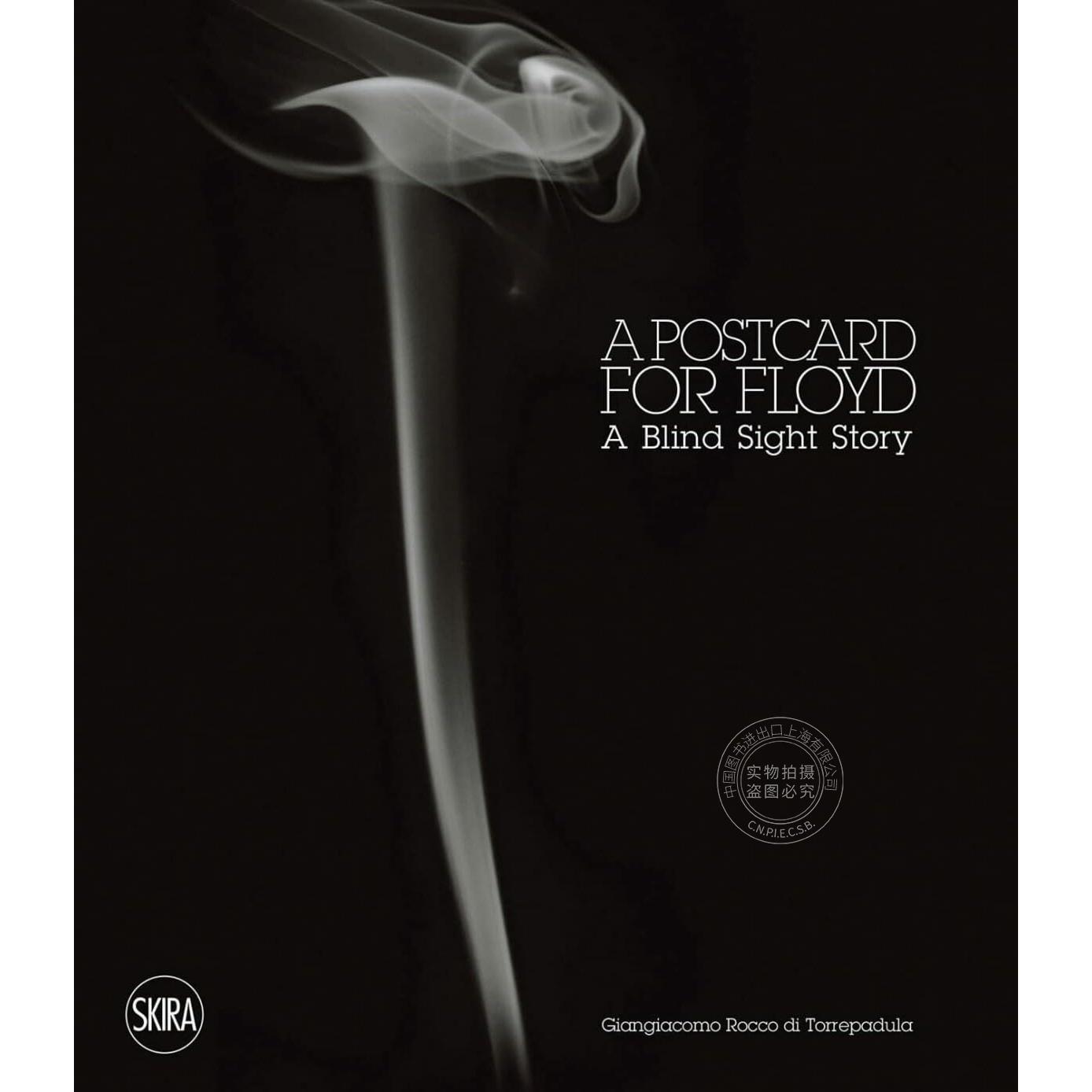 给弗洛伊德的明信片:盲视的故事 英文原版 Giangiacomo Rocco di Torrepadula: A Postcard for Floyd: A Blind Sight Story