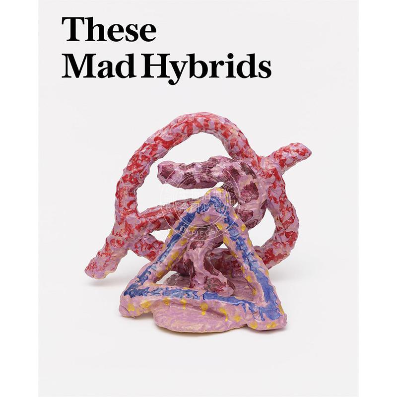 疯狂的混合体：约翰·霍伊兰德与当代雕塑 英文原版 艺术画册 These Mad Hybrids : John Hoyland and Contemporary Sculpture