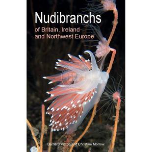 【满299送PUP新年台历】Nudibranchs of Britain  Ireland and Northwest Europe产于英国、爱尔兰和欧洲西北部 普林斯顿