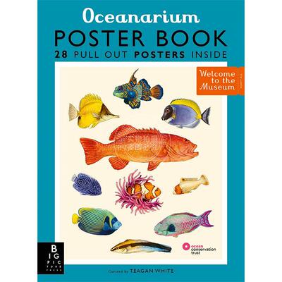 现货 欢迎来到博物馆系列 海洋馆海报 儿童科普绘本 英文原版 Oceanarium Poster Book