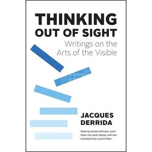 视线之外的思考：关于视觉艺术的论述 艺术理论 英文原版 Thinking Out of Sight: Writings on the Arts of the Visible