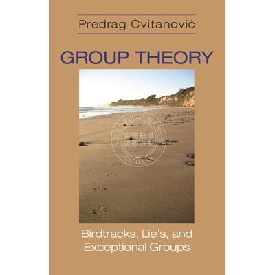 【预售 按需印刷】 Group Theory群理论：鸟径，谎言和特殊群体 英文原版 普林斯顿出版社
