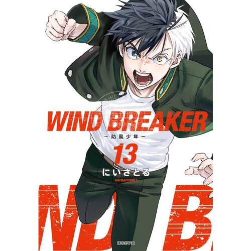 现货 台版漫画 WIND BREAKER 防风少年 13 にいさとる 尖端
