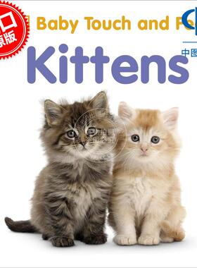 现货 DK出品 宝宝启蒙触摸书 小猫 幼儿启蒙早教纸板书 英文原版 Baby Touch and Feel Kittens 0-3岁