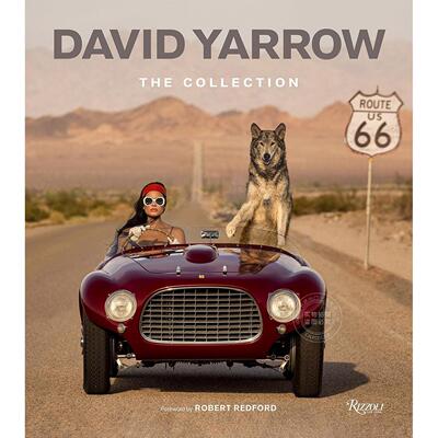 大卫?亚罗摄影集 艺术画集 Rizzoli出版社 英文原版 David Yarrow: The Collection