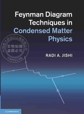 【预售 按需印刷】 Feynman Diagram Techniques in Condensed Matter Physics
