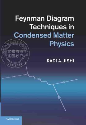 【预售 按需印刷】 Feynman Diagram Techniques in Condensed Matter Physics