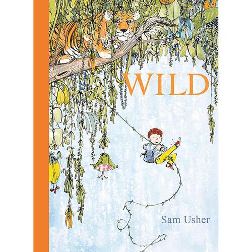 现货 荒原 儿童绘本故事书 山姆 Sam Usher 英文原版 WILD