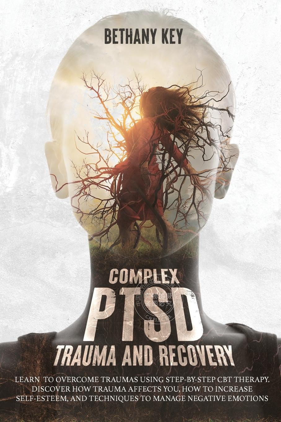 预售 按需印刷 Complex PTSD Trauma and Recovery