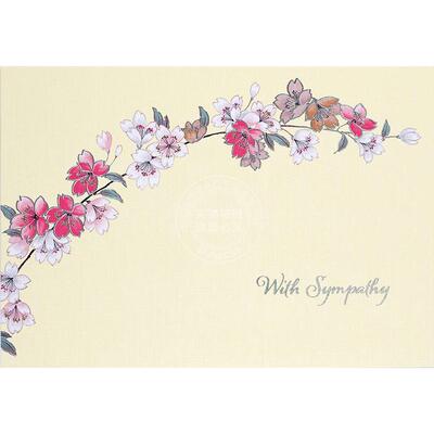 明信片信封贺卡 文创周边 Peter Pauper Press 英文原版  Sympathy Note Cards