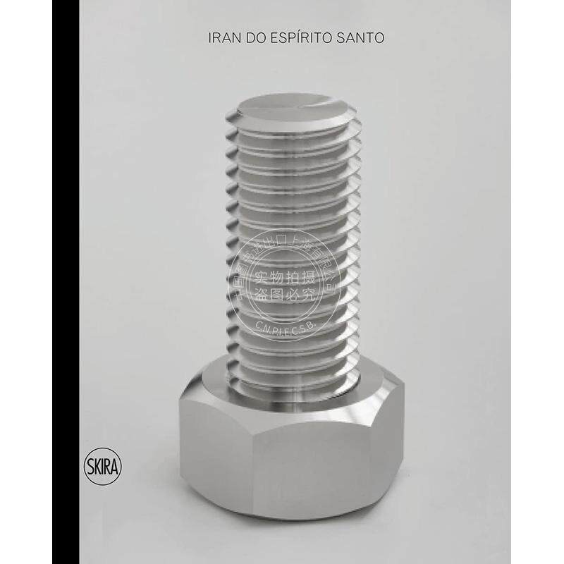 预售 Iran do Espirito Santo 巴西极简抽象派艺术家 艺术画册 英文原版 Skira