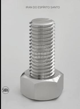 预售 Iran do Espirito Santo 巴西极简抽象派艺术家 艺术画册 英文原版 Skira