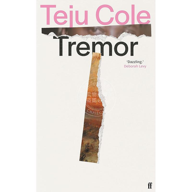现货 战栗 特朱·科尔 Teju Cole 海明威文学奖得主 尼日利亚裔作家 现实主义小说  英文原版 Tremor