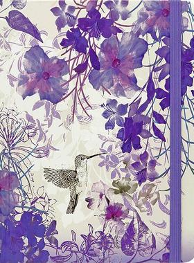 蜂鸟 笔记本 日记本 文创周边 Peter Pauper Press 无酸纸 英文原版  Hummingbird Journal