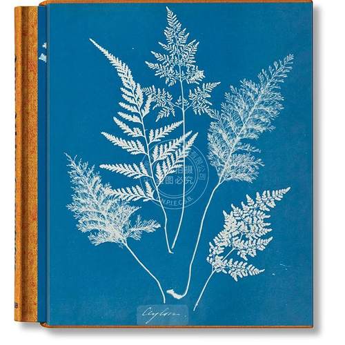 安娜·阿特金斯 蓝晒法 海藻蕨类植物画集 塔森出版社Taschen 进口原版 Anna Atkins. Cyanotypes 多语言