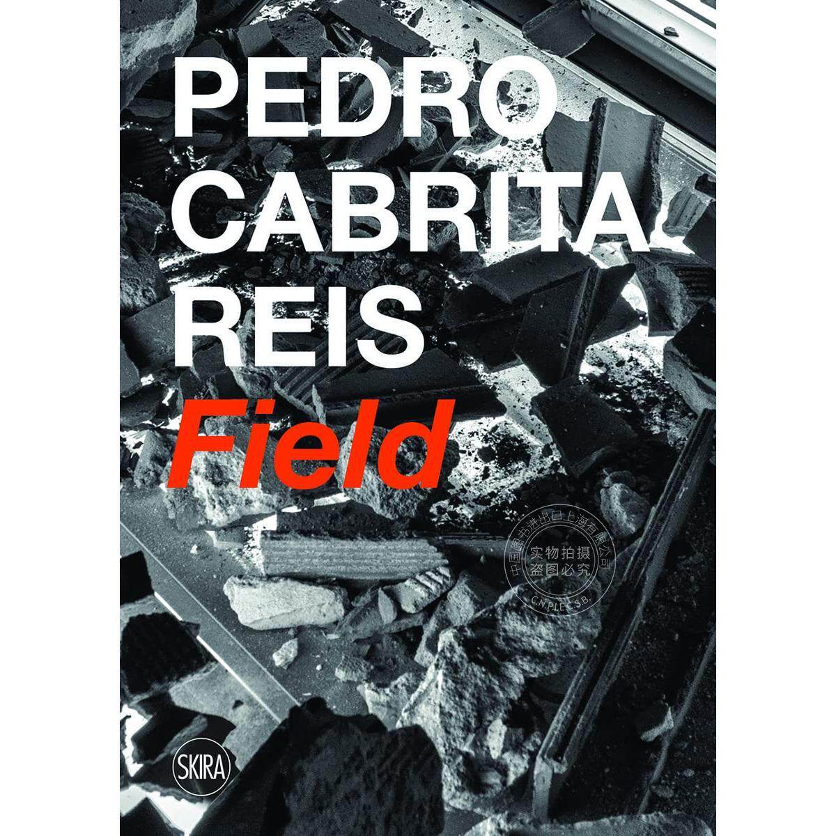 预售 佩德罗·卡布里塔·雷斯 艺术画册 英文原版 Pedro Cabrita Reis Field