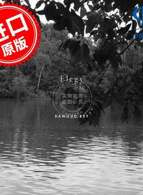 达沃德·贝：挽歌 摄影艺术画集 英文原版 Dawoud Bey: Elegy