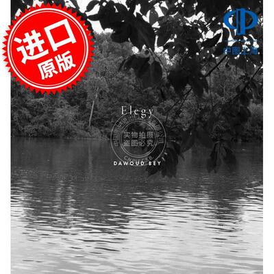 达沃德·贝：挽歌 摄影艺术画集 英文原版 Dawoud Bey: Elegy